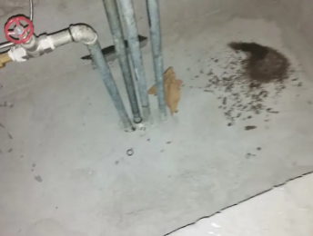 岫岩卫生间测漏水价格明细