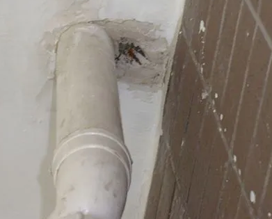 岫岩漏水检测哪家好